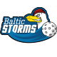 Floorball-Baltic-Storms-Logo-mini